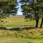 Nyaraló Elny - 500m To The Fjord By Interhome