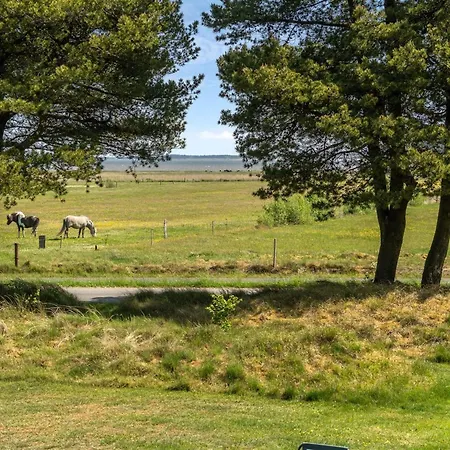Elny - 500m To The Fjord By Interhome * Blåvand